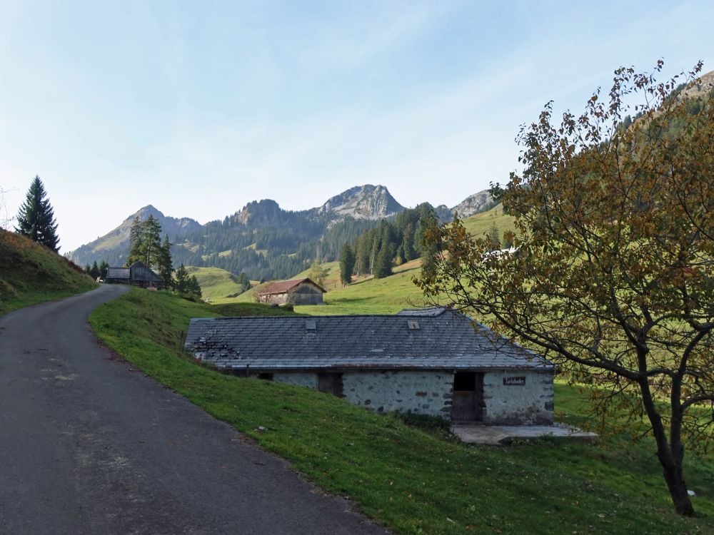 Türlisboden und Neuenalpspitz