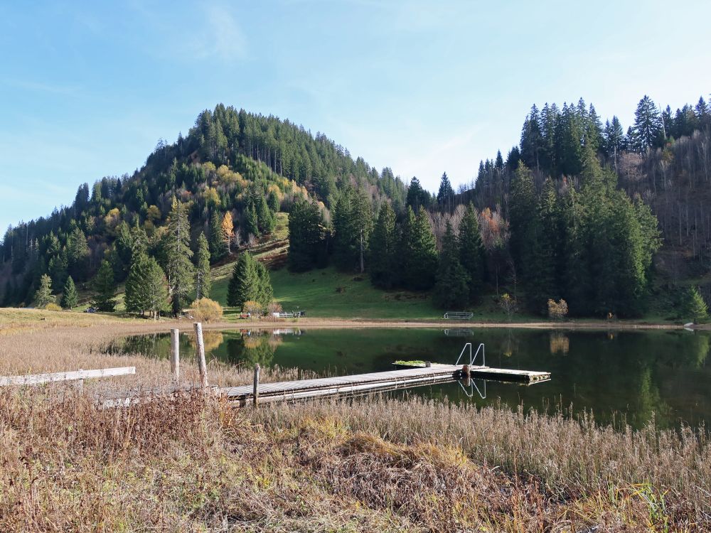 Steg im Gräppelensee