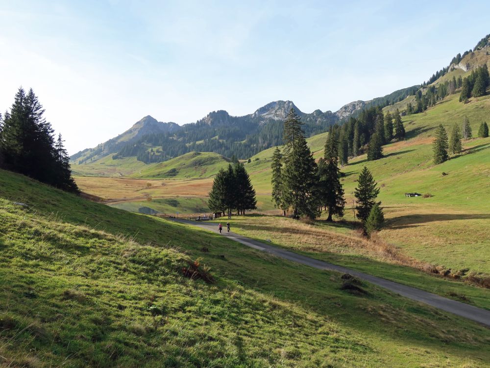 Gräppelensee und Neuenalpspitz