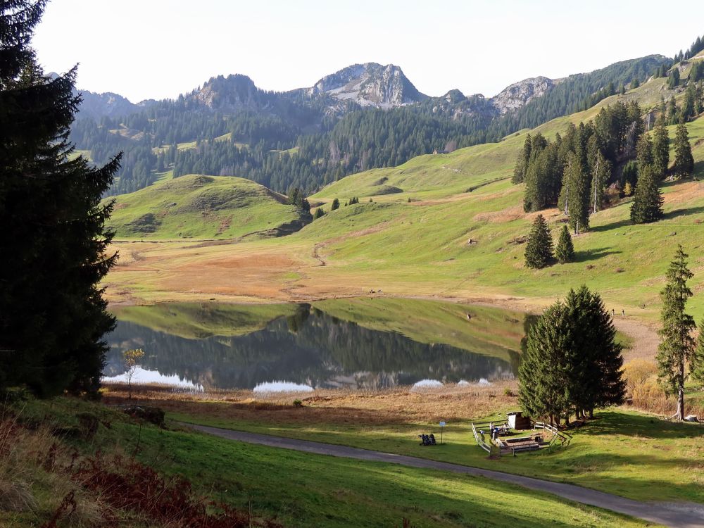 Gräppelensee