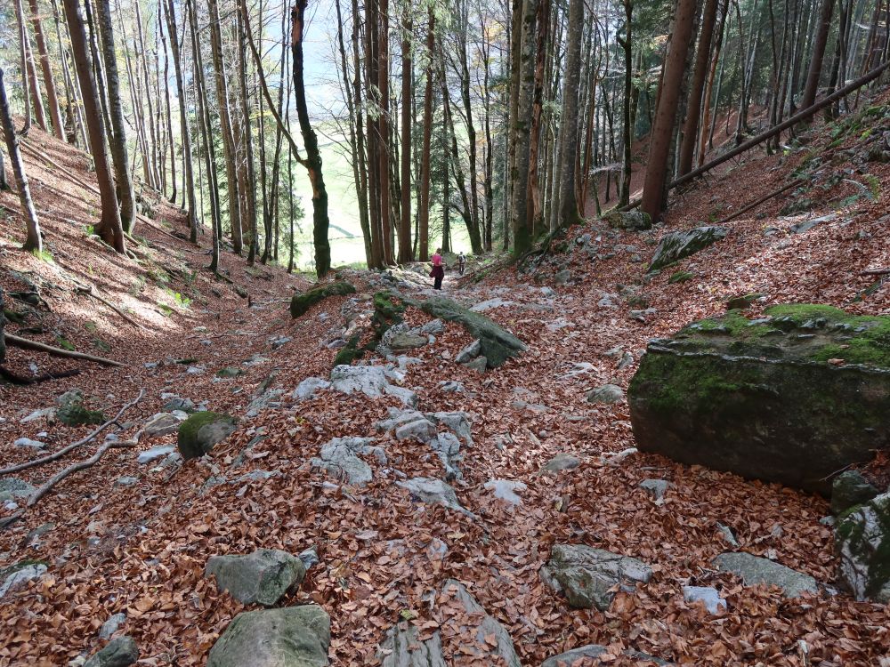 steiniger Waldpfad