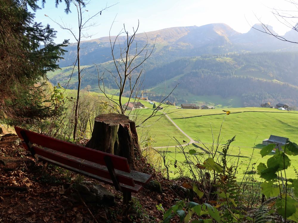 Sitzbank mit Blick auf Burst