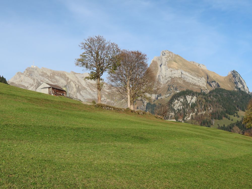 Säntis und Wildhauser Schafberg