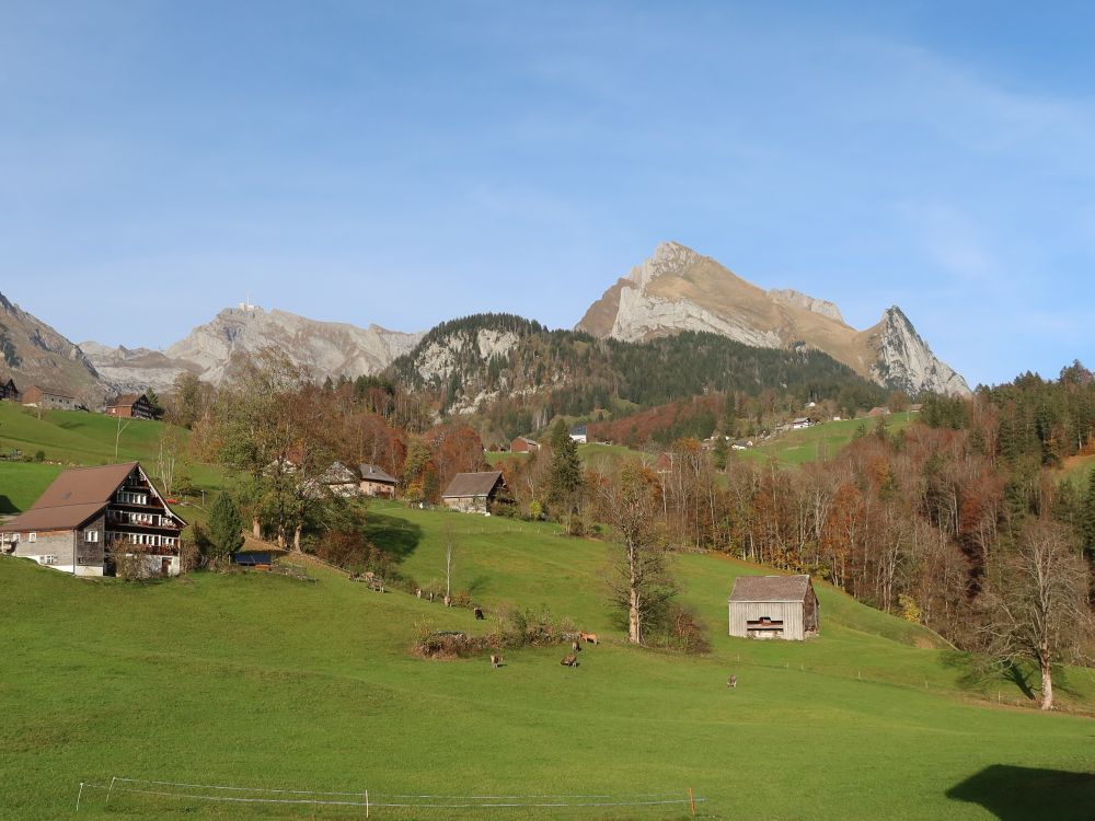 Säntis und Wildhauser Schafberg