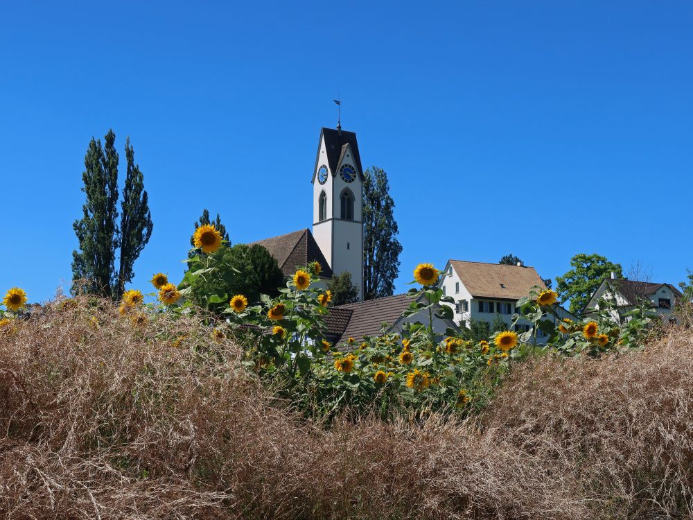 Kirche Uetikon über Sonnenblumen
