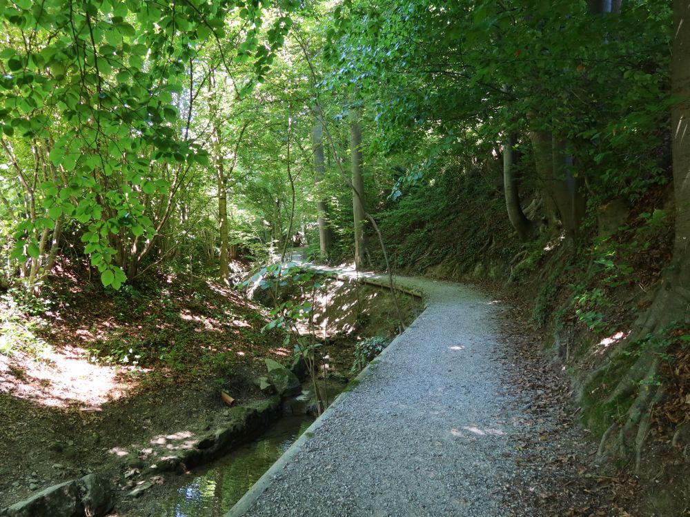 Wanderweg am Haslenbach