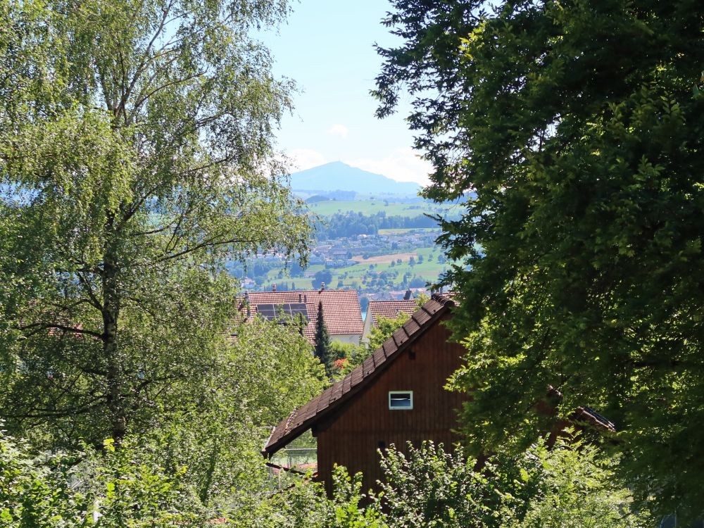 Blick Richtung Rigi