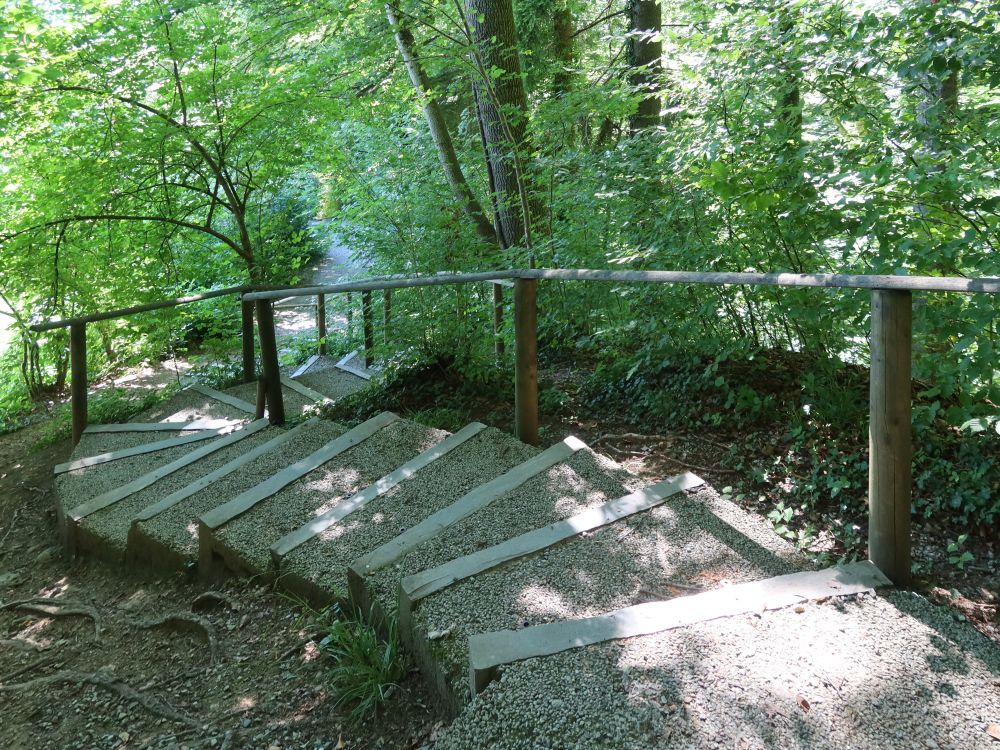 Treppe am Haslenbach