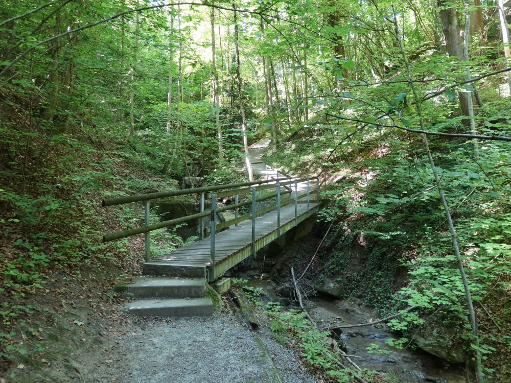 Holzsteg übern Haslenbach