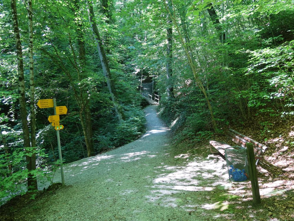 Wanderweg am Haslenbach