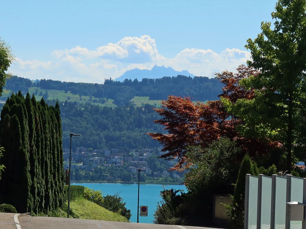 Zürichsee und Pilatus