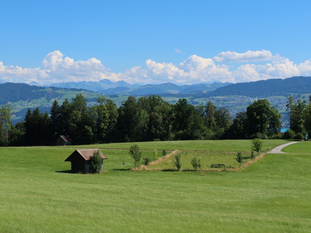 Blick Richtung Druesberg, u.a.