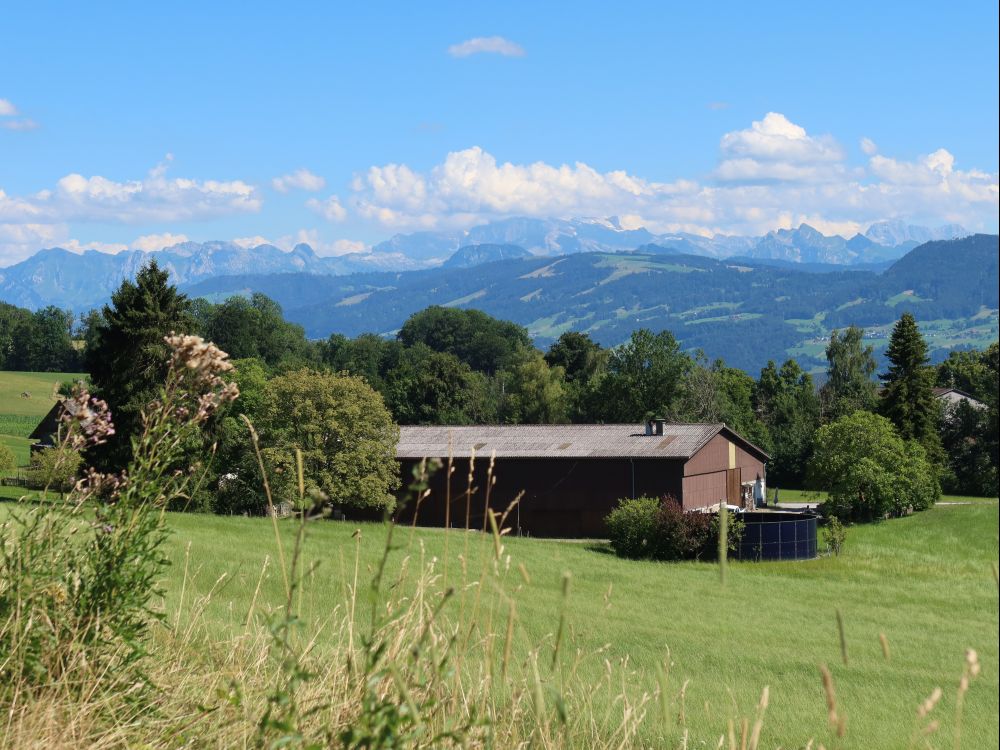 Glarneralpen hinter Gross Aubrig