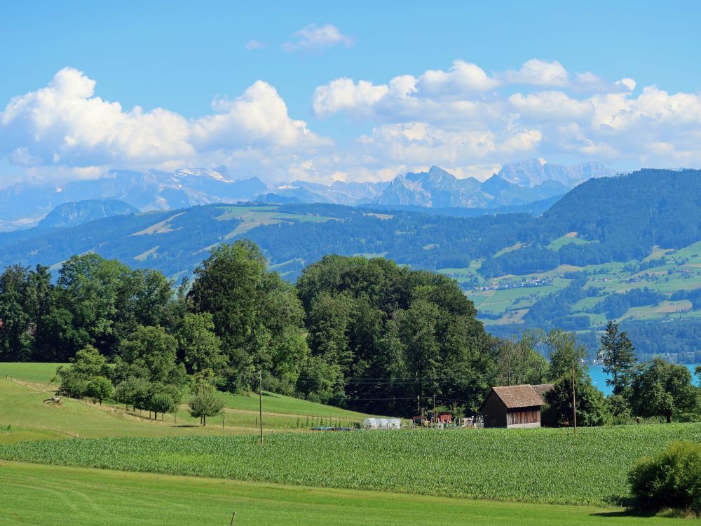 Blick zu den Glarneralpen