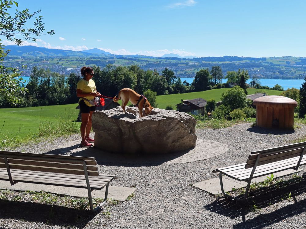 Hund auf dem Brunnen