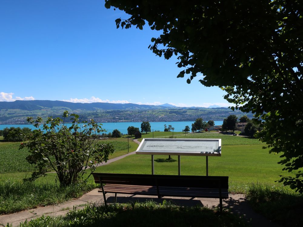 Panoramatafel und Zürichsee