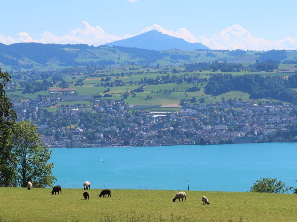 Wädenswil am Zürichsee und Rigi