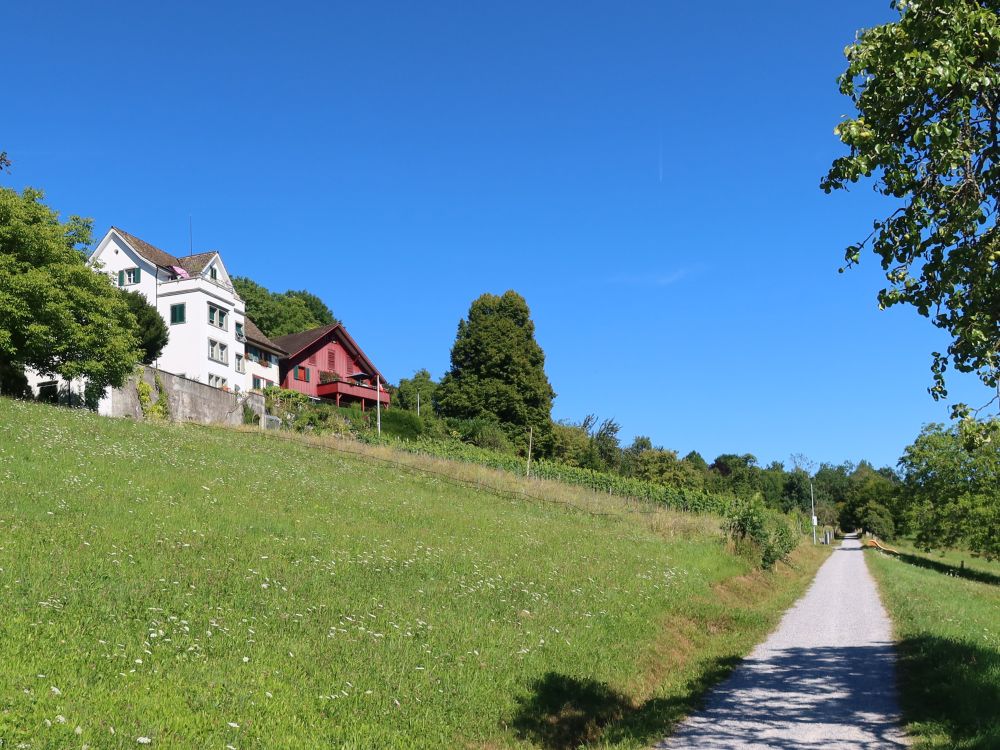 Oberallenberg