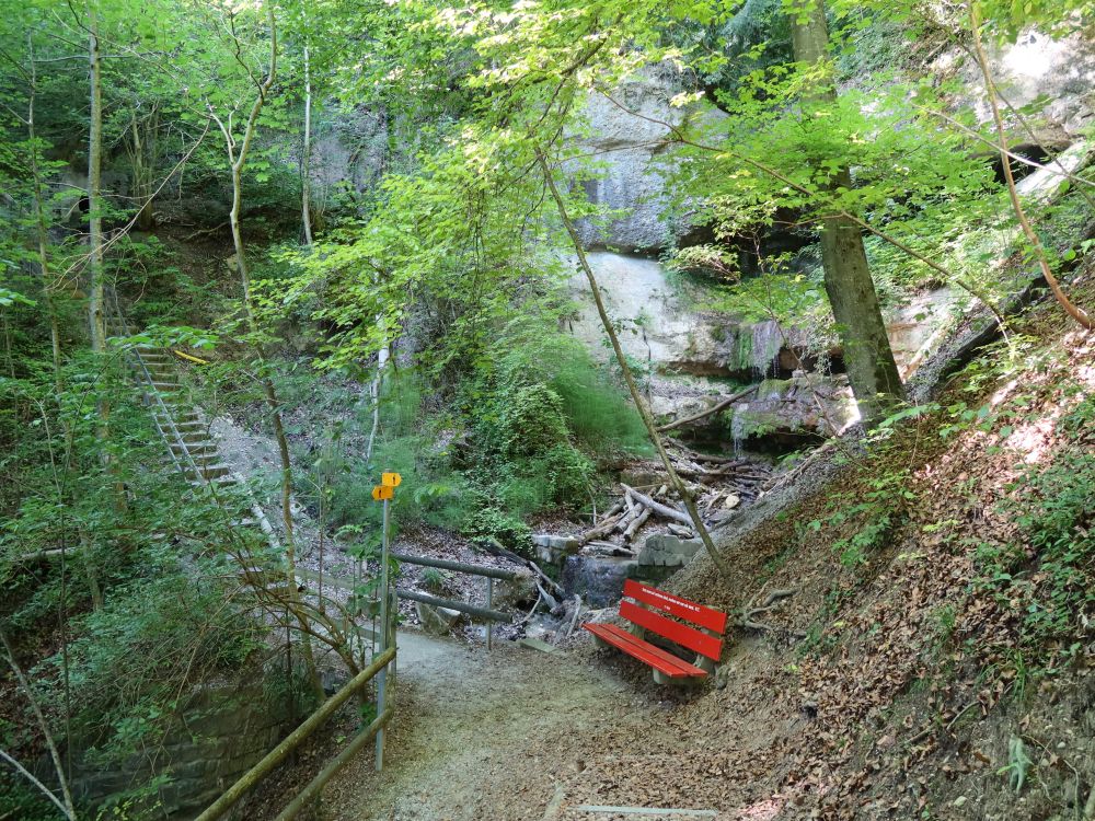 Sitzbank im Risitobel