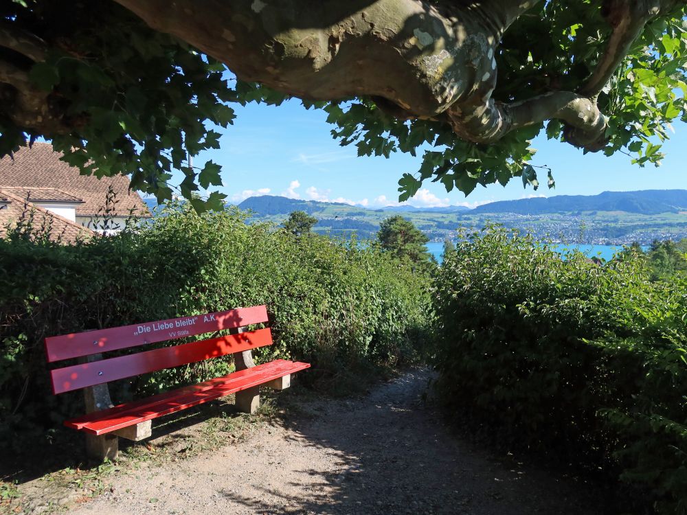 Sitzbank bei Ober Lattenberg