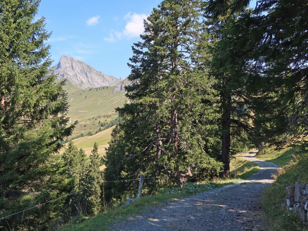 Wanderweg und Glegghorn