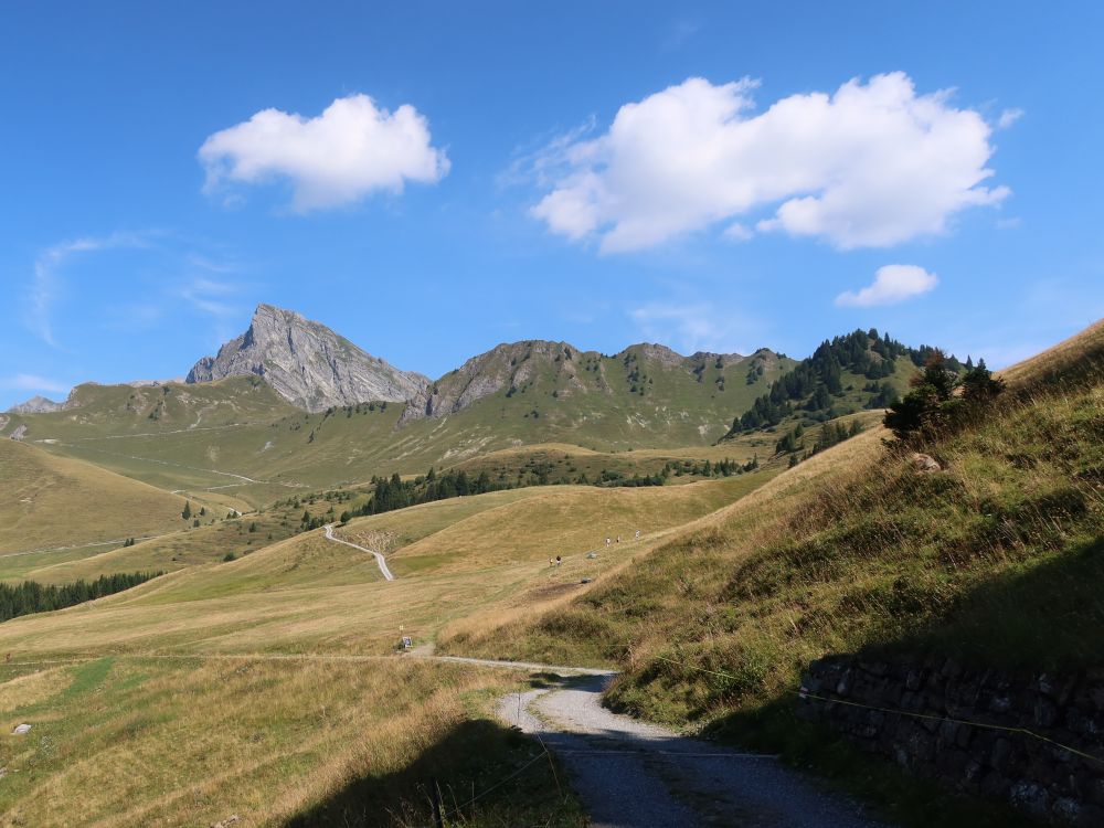 Blick Richtung Glegghorn