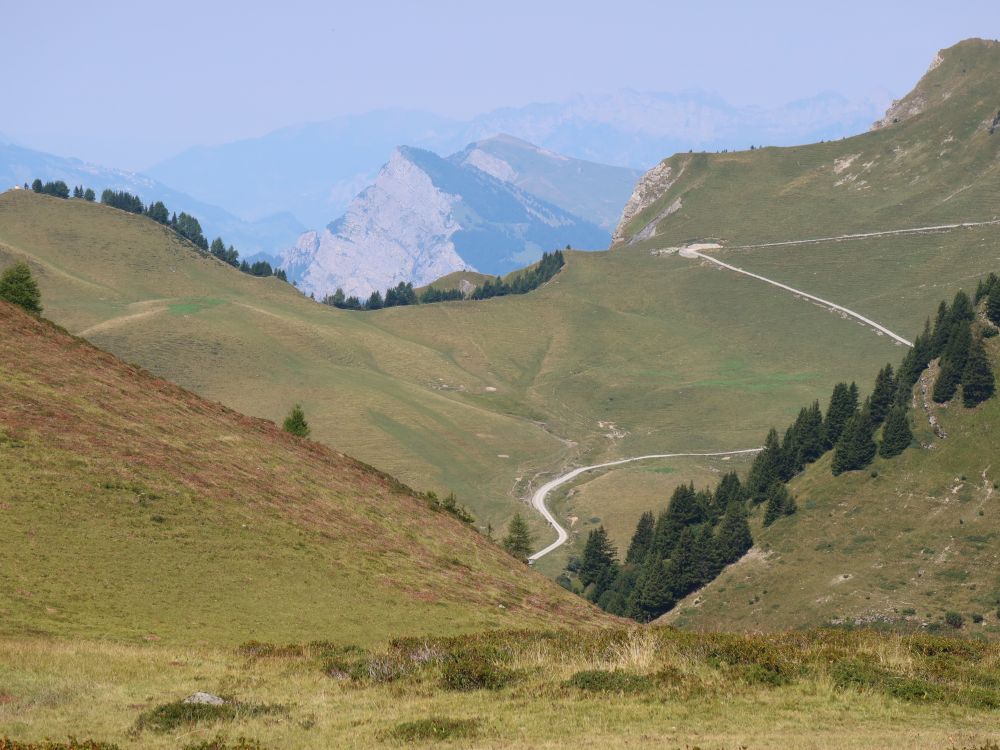 Gonzen über Maienfelder Alp