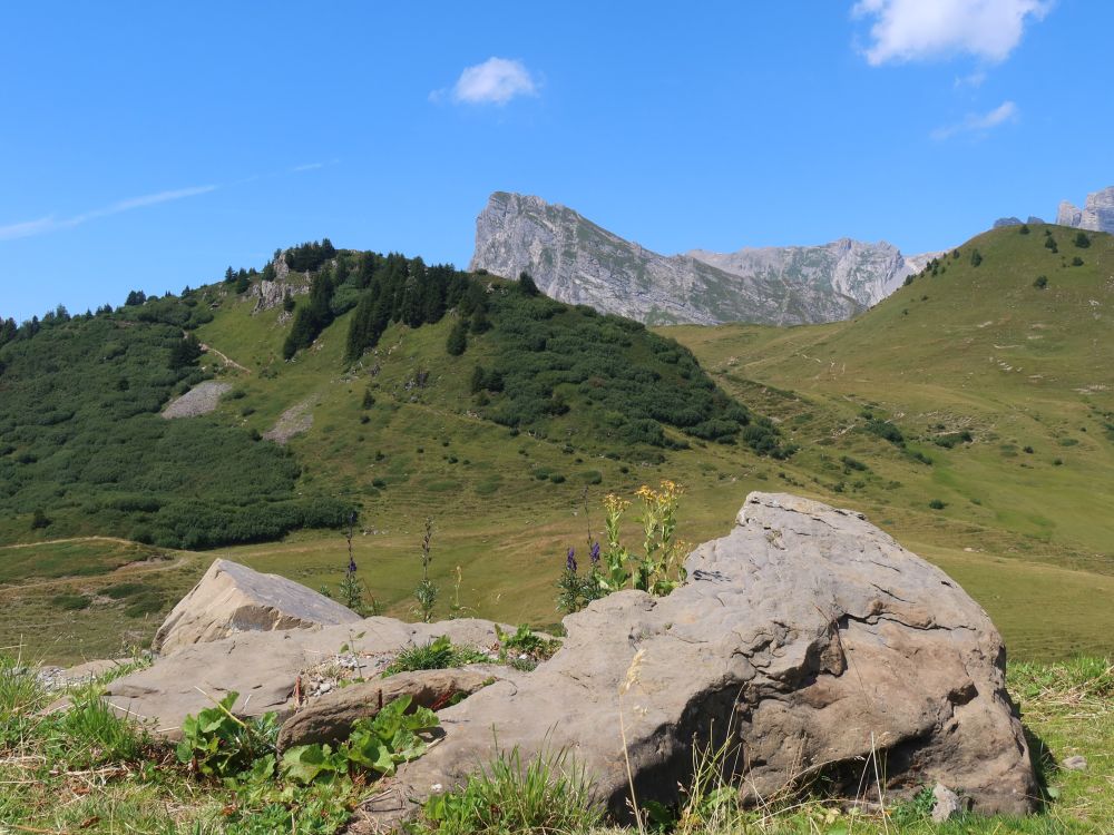 Blick Richtung Glegghorn