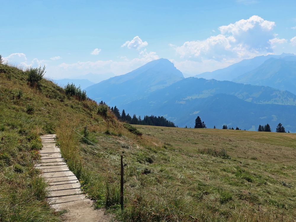 Holzsteg und Haldensteiner Calanda