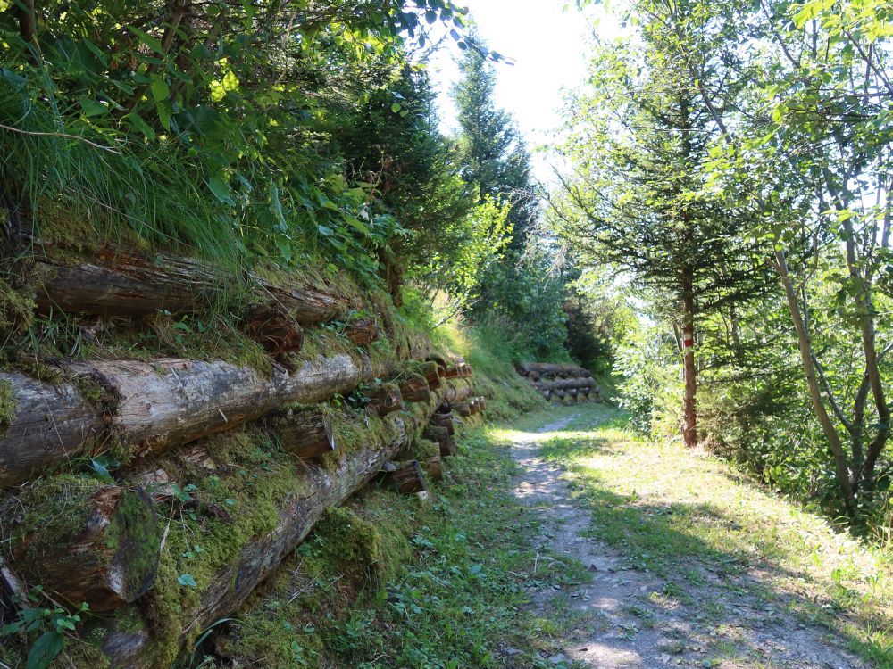 Bergweg