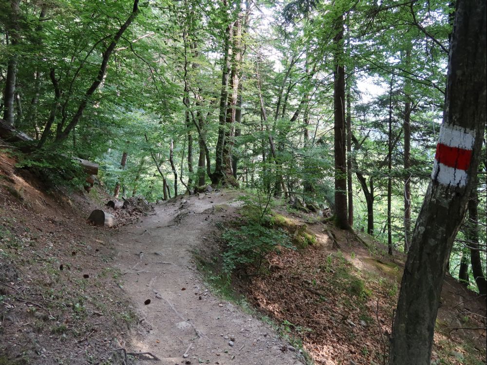 Waldweg