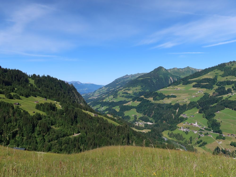 Blick ins Grosswalsertal