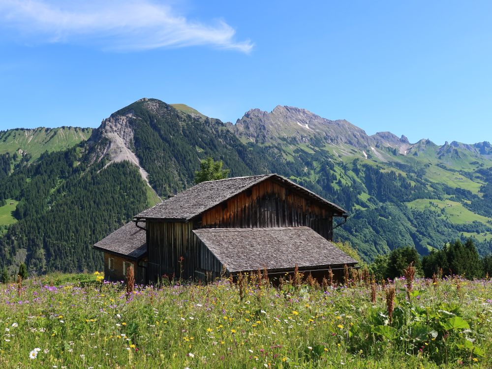 Bauernhaus mit Blasenka und Zitterklapfen