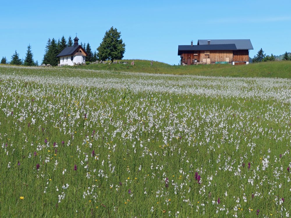 Rosenkranz Kapelle über Wollgras