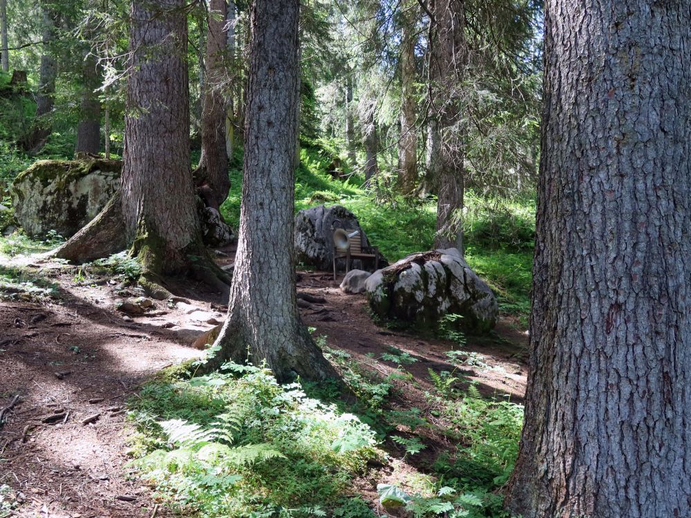 Hörgerät im Wald