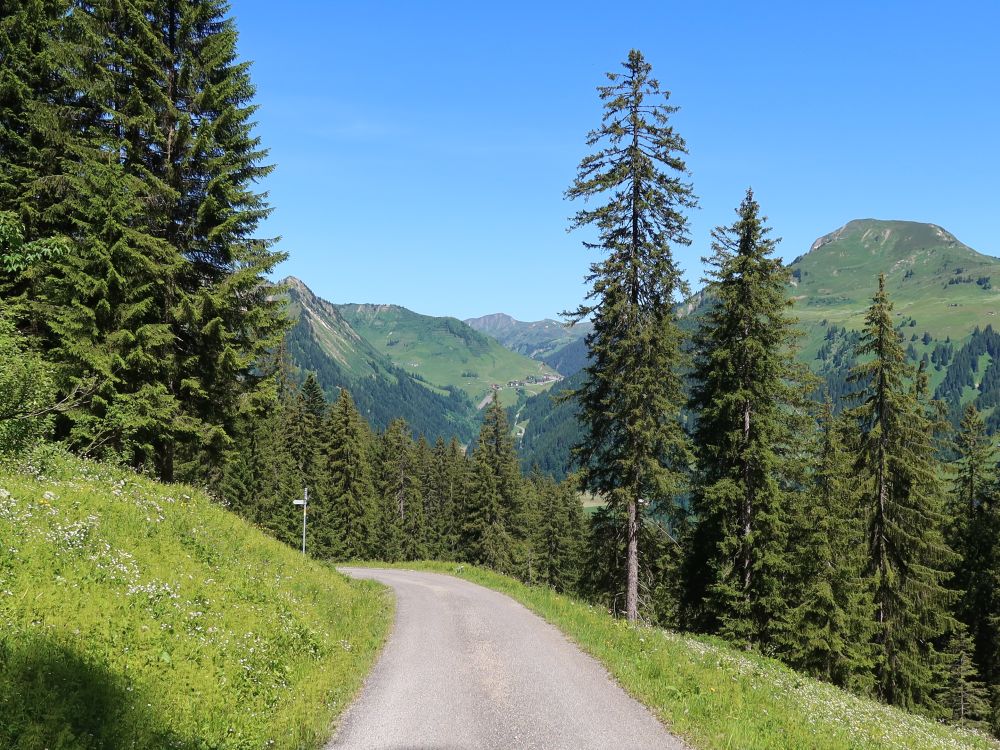 Faschinajoch und Zafernhorn