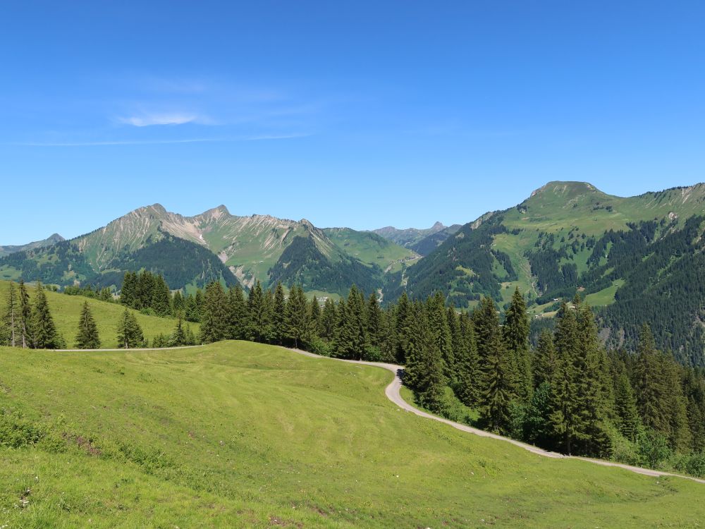 Türtschhorn bis Zafernhorn