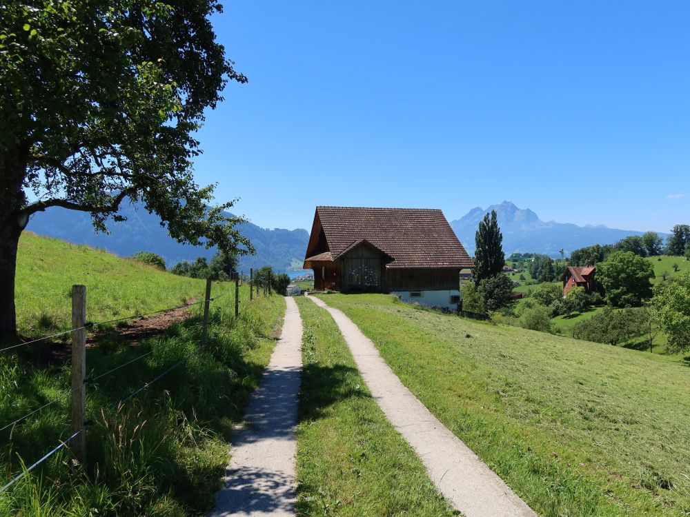 Winterhaldiweid und Pilatus