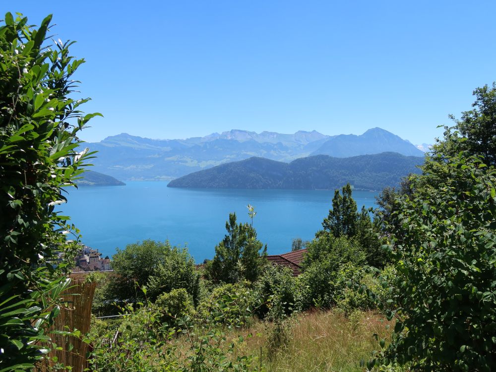 Niderbauen bis Buochserhorn