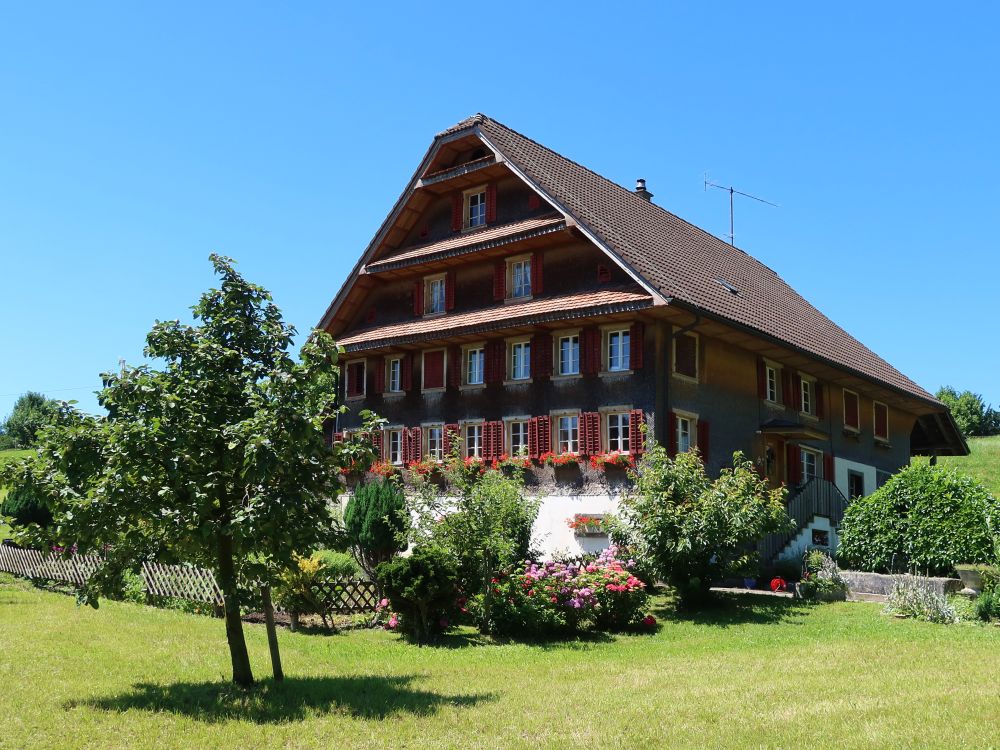 Haus in Untereggi