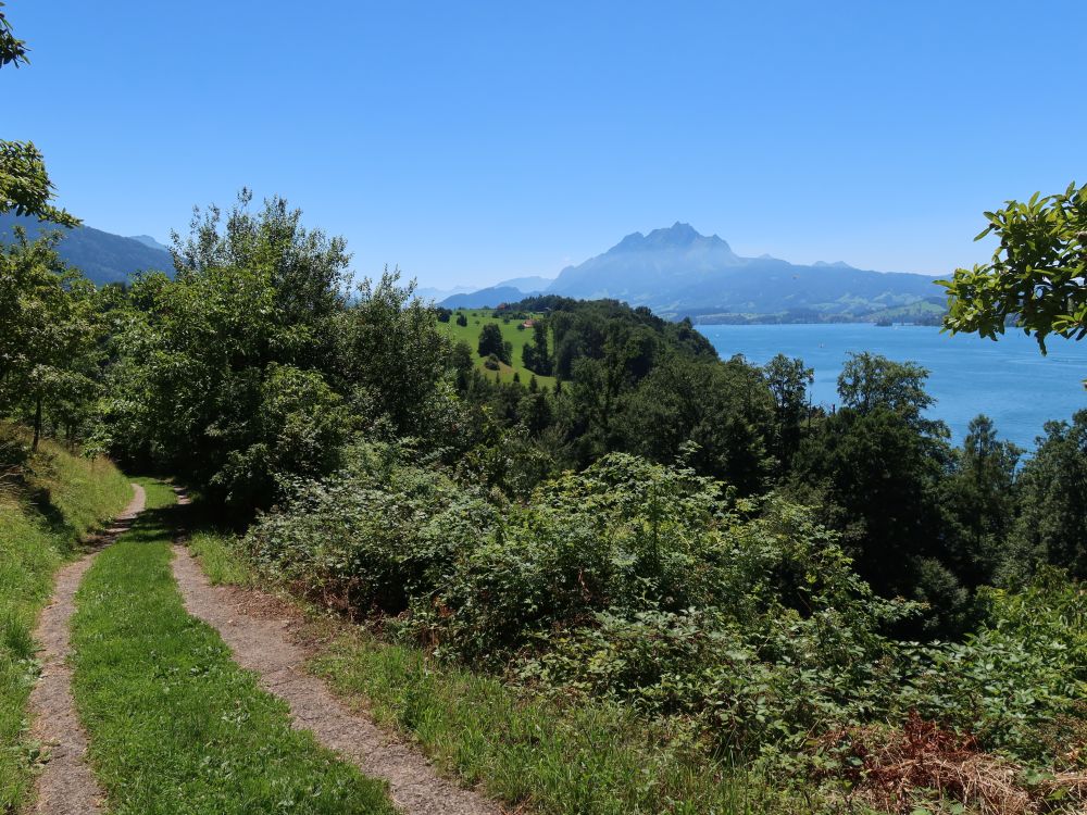 Weg bei Haldi und Pilatus