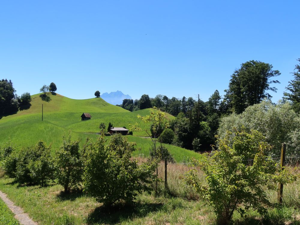 Haldi mit Pilatusspitze