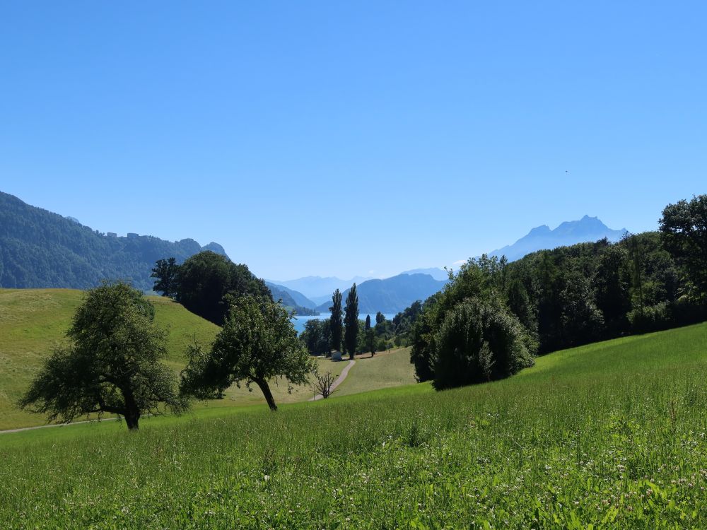 Müsetrichter mit Pilatus