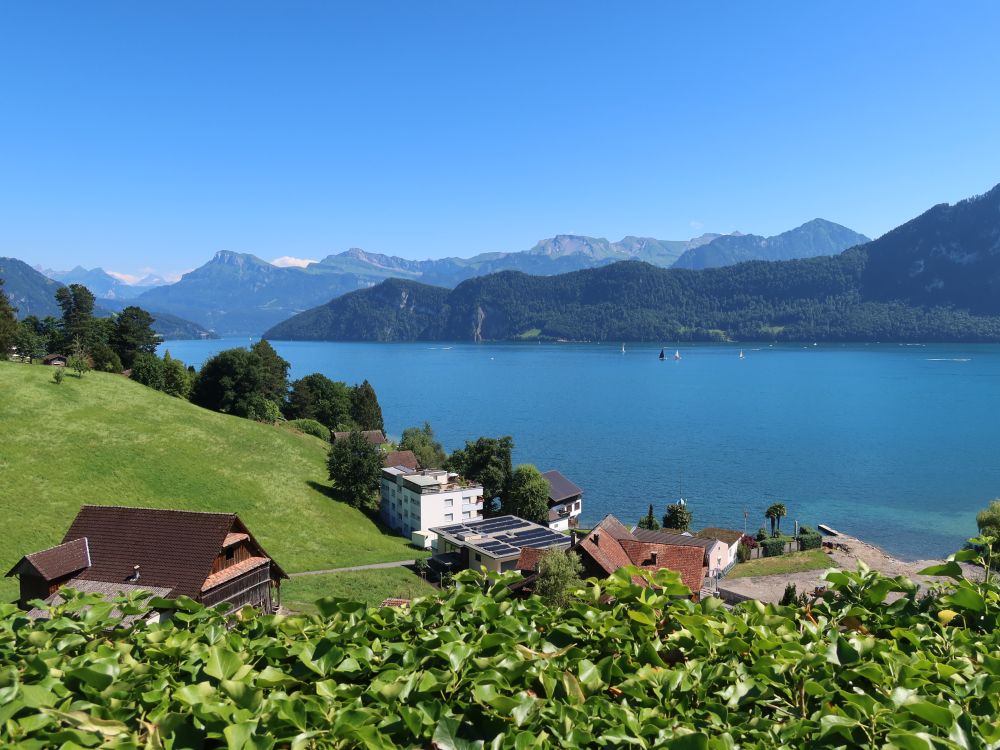 Unter Nas mit Niderbauen bis Buochserhorn