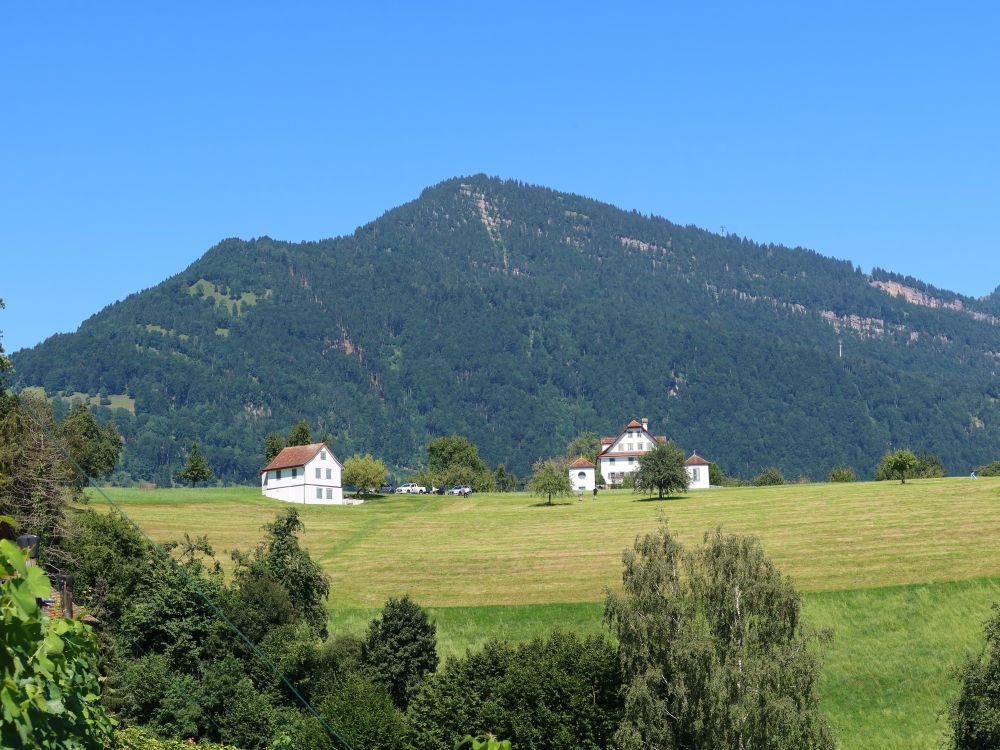 Brünni und Rigi