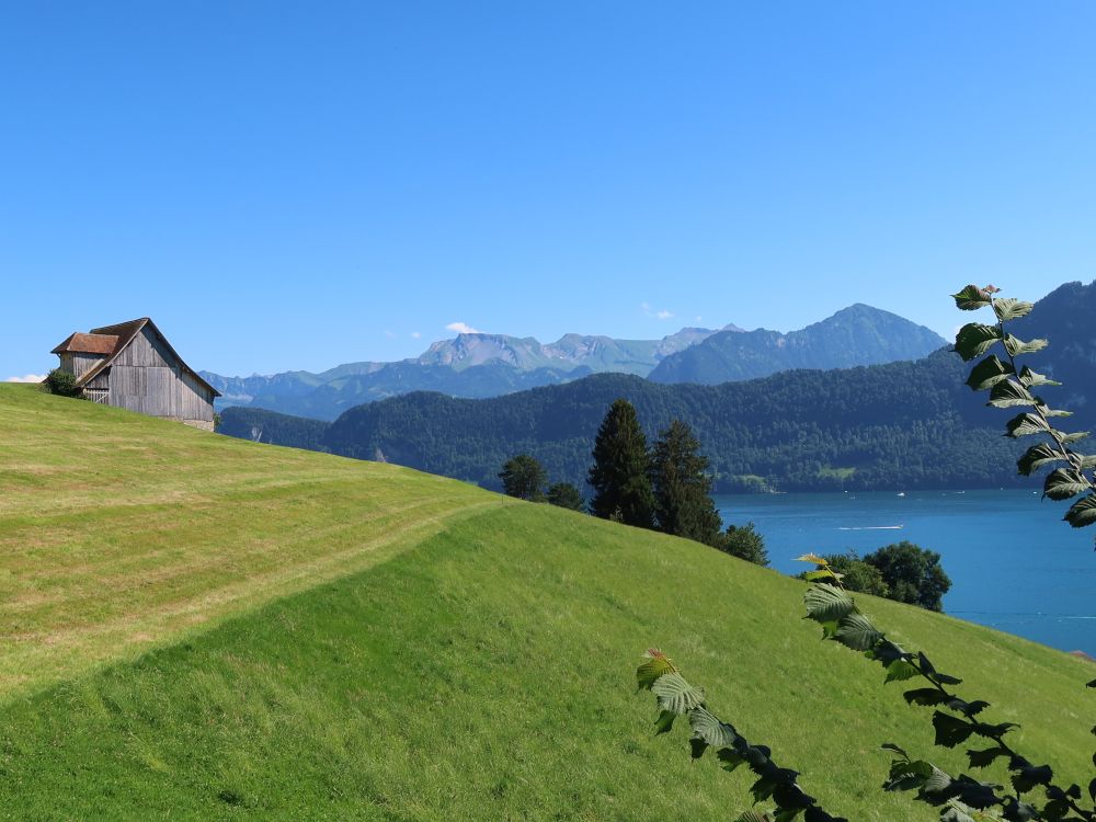 Scheune mit Buochserhorn