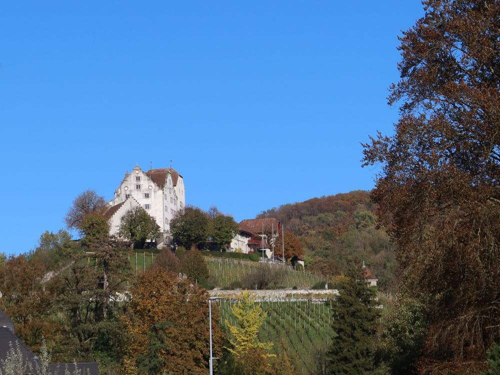 Schloss Wildegg