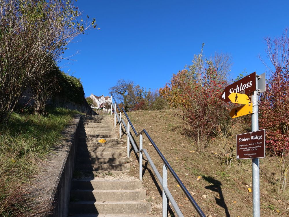 Treppe zum Schloss Wildegg