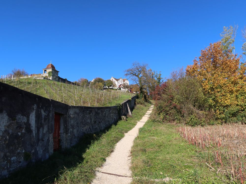 Weg zum Schloss Wildegg