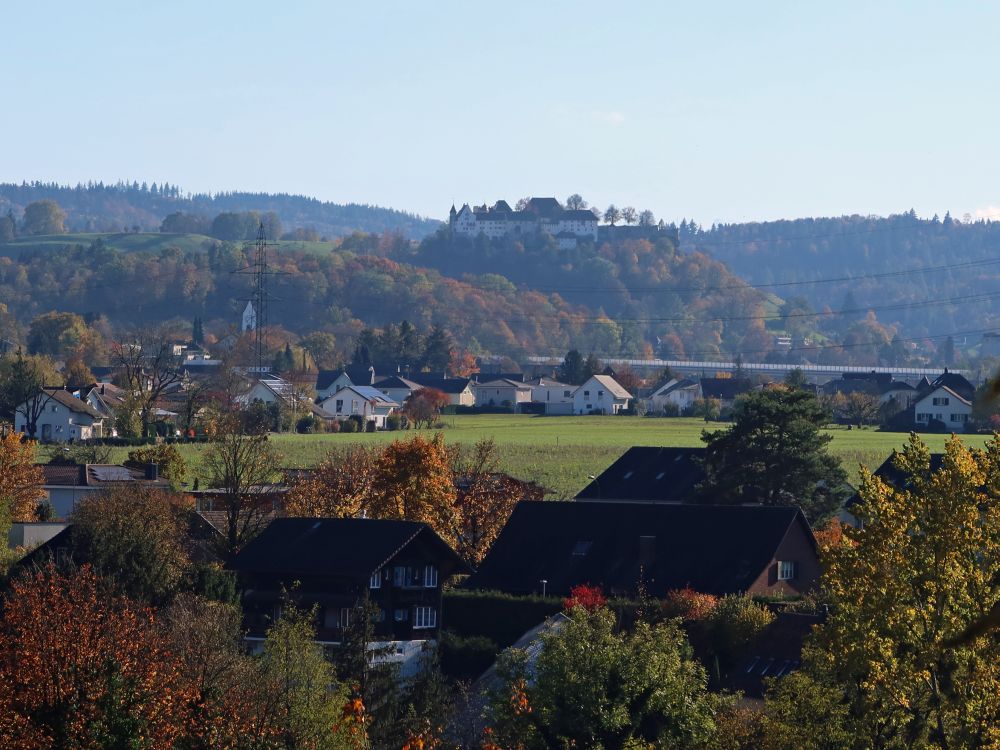 Schloss Lenzburg